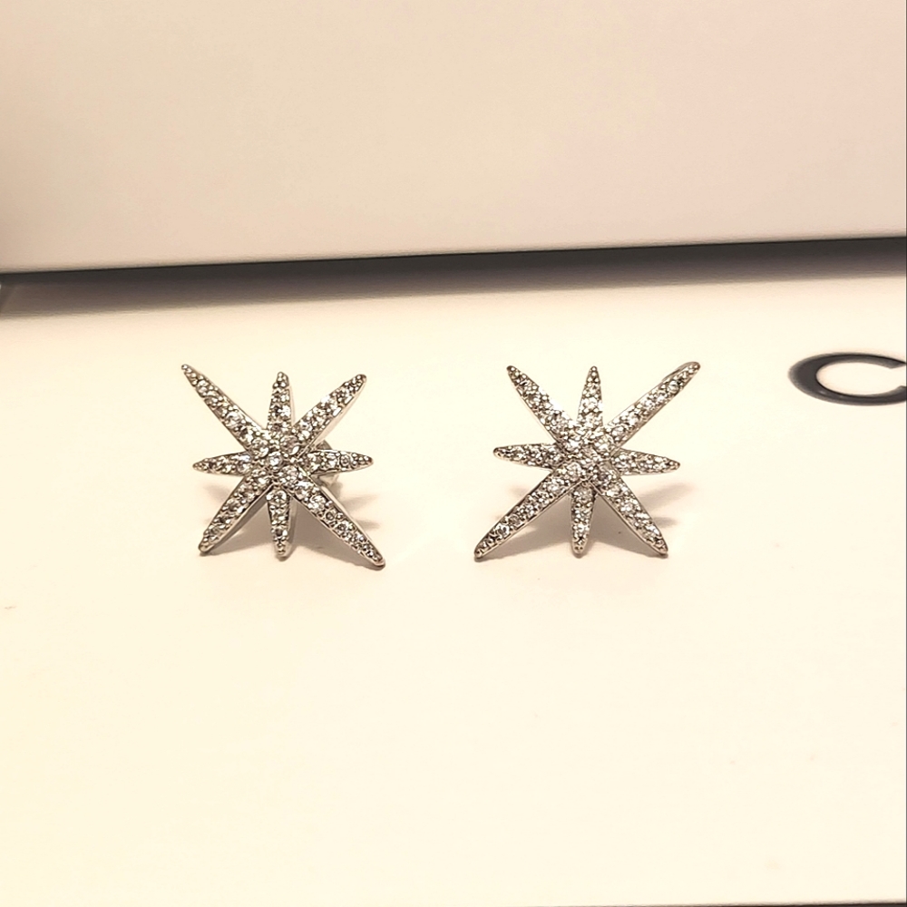 North Star Earrings StSt
